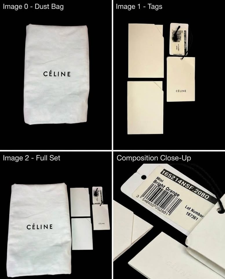 Céline Python Micro Luggage Tote