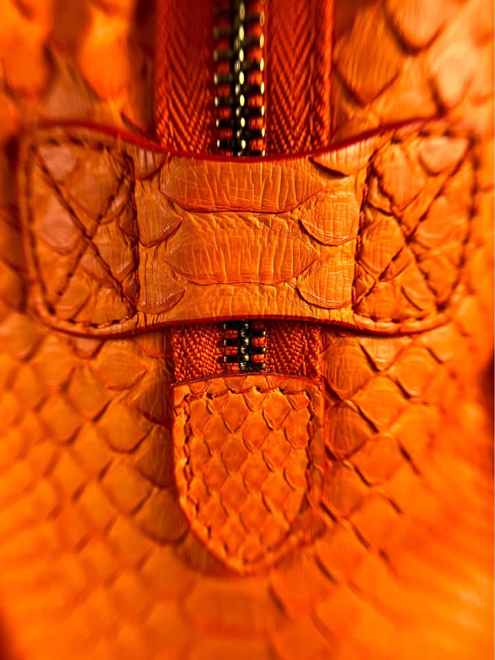 Céline Python Micro Luggage Tote